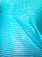 In It To Win It Long Sleeve